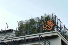 梧桐绿道3