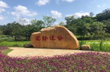 淘金山绿道15