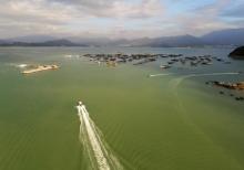 东山珍珠岛3