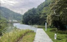 沙鱼涌沙滩露营地3