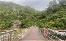 沙鱼涌沙滩露营地2