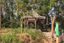 梅林山公园6
