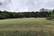 灵芝公园1