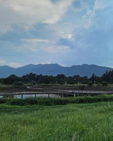 坝光银叶湿地公园5