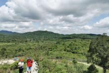 马峦山郊野公园17