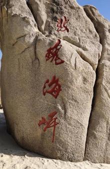玫瑰海岸沙滩3