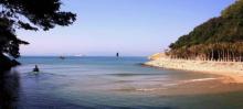 沙鱼涌23