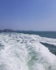 蛇口港珠海游轮12