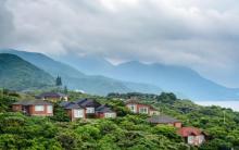 杨梅坑17