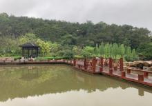 神光山旅游风景区-神光佛园8