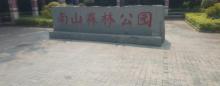 南山森林公园1