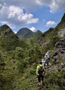 m雾山7