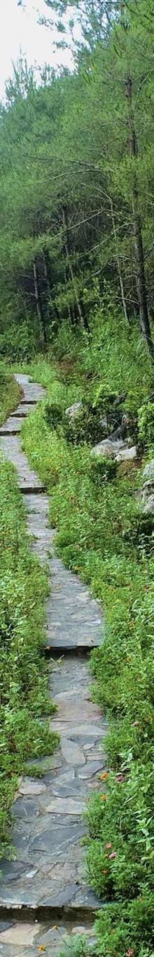 万山朝王国家石漠公园6