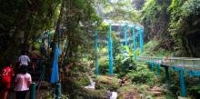 新丰江国家森林公园桂山风景区4