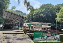 新丰江国家森林公园桂山风景区21