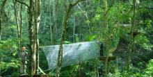 新丰江国家森林公园桂山风景区17