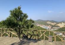 铜鼎山旅游区15