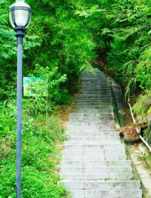 蜘洲山公园1