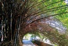 里溪村3