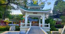 茶东公园4