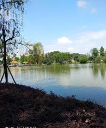 逸仙湖公园5