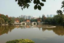 逸仙湖公园4