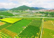 旭景农业科技园1