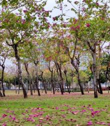 北山社区公园3