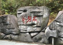 中山仙踪龙园5