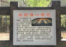 中山仙踪龙园11
