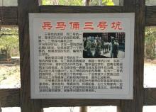 中山仙踪龙园6