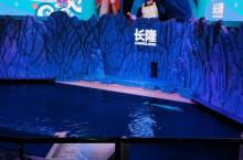 白鲸剧场10