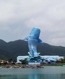 海豚湾8