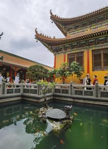 金台寺30