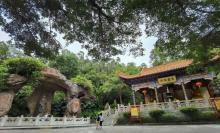 金台寺23