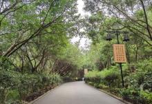金台寺29