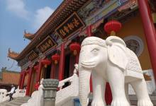 金台寺8