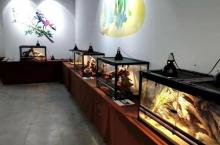 奇妙昆虫艺术展6