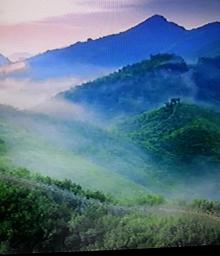 海山石龟4