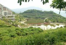 象窝山生态园9