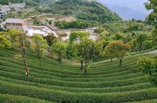象窝山生态园14