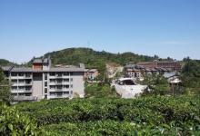 象窝山生态园7