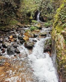 龙王潭生态旅游区10
