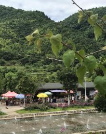 泉水谷漂流度假村9