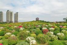 千花洲生态景区23