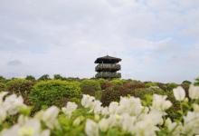 千花洲生态景区20