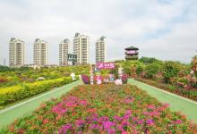 千花洲生态景区21