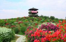 千花洲生态景区7