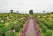 千花洲生态景区24