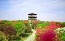 千花洲生态景区6